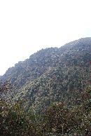 Langt opp i dalsida fortsetter veien