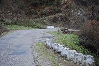 For det trente &oslash;ye s&aring; sitter det noen apekatter her